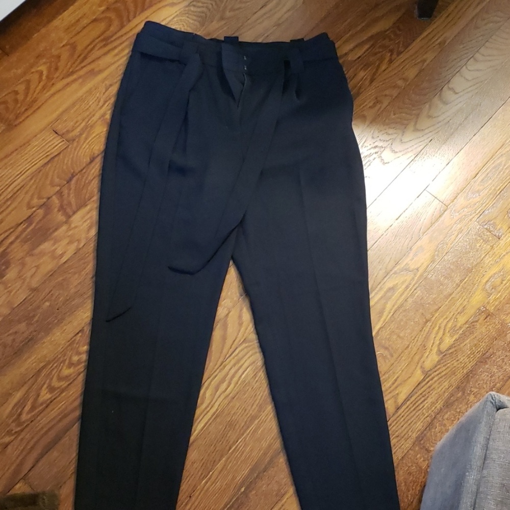 Express dress pants